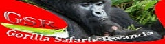 gorilla, safaris, rwanda, hiking, trekking, accommodation, car hire, kigali, volcanoes national park 