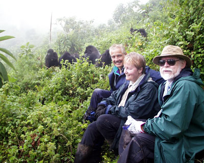 Gorilla Safaris Rwanda, Nairobi, Zanzibar,Rwanda Tracking, Trekking, Hiking