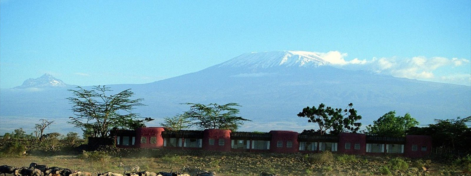 AMBOSELI NATIONAL PARK ATTRACTIONS, ATTRACTIONS AMBOSELI NATIONAL PARK, ACTIVITIES AMBOSELI NATIONAL PARK, AMBOSELI NATIONAL PARK ACTIVITIES, AMBOSELI NATIONAL RESERVE, ACCOMMODATION AMBOSELI NATIONAL PARK, LODGES AMBOSELI NATIONAL PARK, AMBOSELI NATIONAL PARK LODGES, AMBOSELI NATIIONAL PARK ACCOMMODATION, AMBOSELI NATIONAL PARK, AMBOSELI, ACCOMMODATION, LODGES, NATIONAL PARK, NATIONAL, PARK, TOURIST ATTRACTIONS AMBOSELI NATIONAL PARK, TOURIST ACTIVITIES AMBOSELI NATIONAL PARK,  ATTRACTIONS, ACTIVITIES,  TENTED CAMPS, WHERE TO STAY, WHAT TO DO, BIRD WATCHING, BIRD WALKS, GAME DRIVE, BALLON SAFARIS, MT KILIMANJARO, CLIMBING
