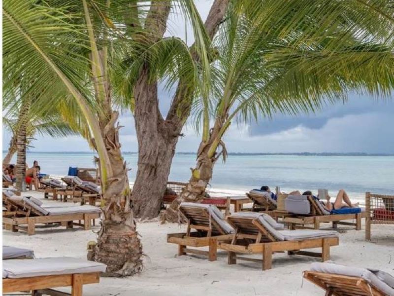Michamvi Sunset Bay Resort, Zanzibar, Beachfront, Sea, View, Offer $192