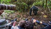 gorilla safari rwanda 4 days 3 nights, gorilla safari rwanda 4 days 3 nights price, 4days 3nights, gorilla trekking permit price, gorilla trekking permit,gorilla, trekking, safari, safaris, rwanda, 4 days 3 nights, gorilla trekking 4 days, package, tour, tracking, permits, price, prices, price list, cost