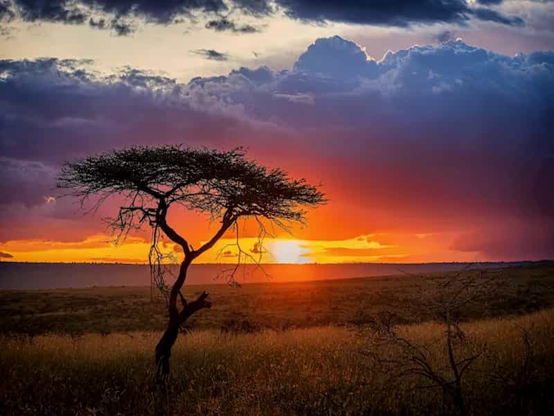 Loyk Mara, wildebeest migration 4 days packages, price, list