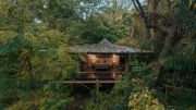 meru national park lodges, meru national park accommodation, meru national park lodges, meru national park rhino river lodge, rhino river lodge meru national park, meru, national, park, accommodation, hotels, lodges, lodge, loge,  best,offers, prices, rates, rate, price, list, discounts, lowest, cheapest, cheap, deals, camping, campsite, tented, elsa's kopje lodge, ikweta safari, offbeat campsite, BB, FB, attractions, safaris, mammals, birds, bird watching, hiking, nature walks, what to do, where to stay, things to do